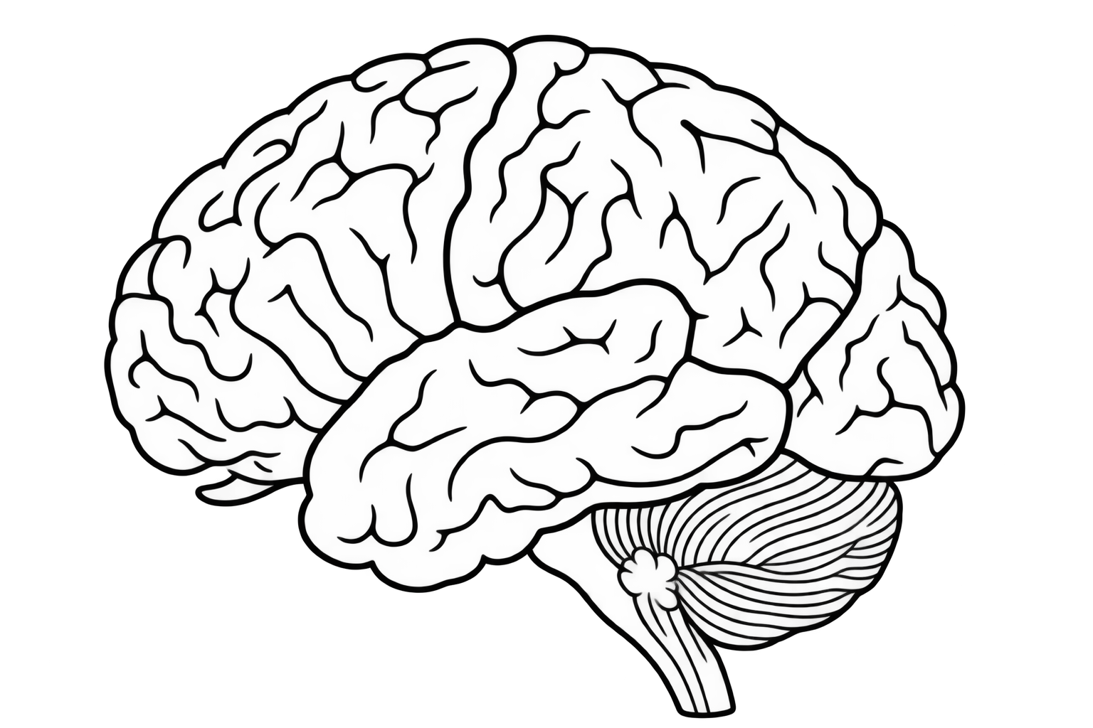 Brain navigation